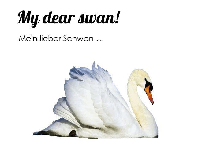 English for Runaways, Denglisch, ute-online.com