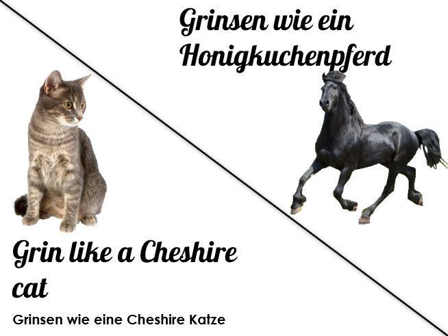 Englisch-Deutsche Sprichworte
