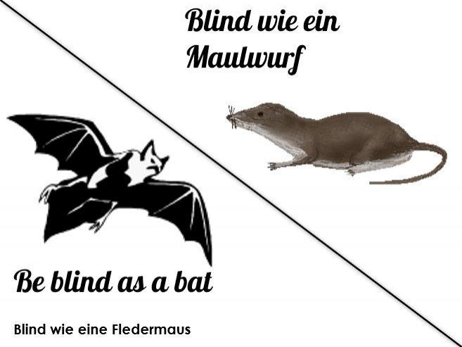 Englisch-Deutsche Sprichworte