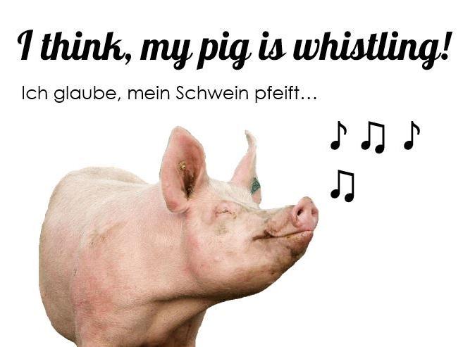English for Runaways, Denglisch, ute-online.com