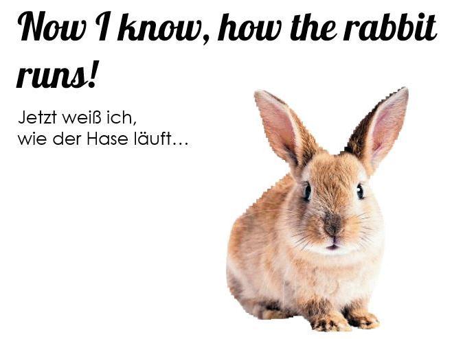 English for Runaways, Denglisch, ute-online.com