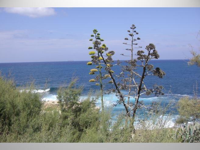 Landschaftsbild Gozo